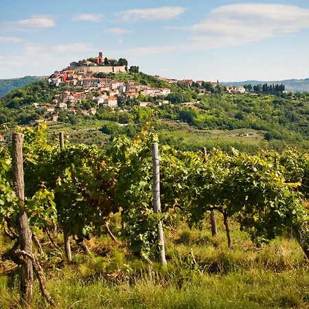 Fachin Apartment Motovun