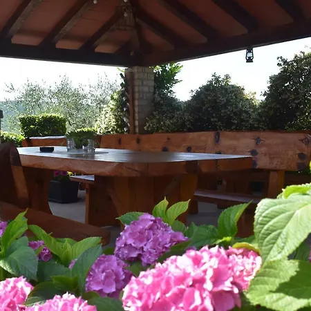 Fachin Apartman Motovun
